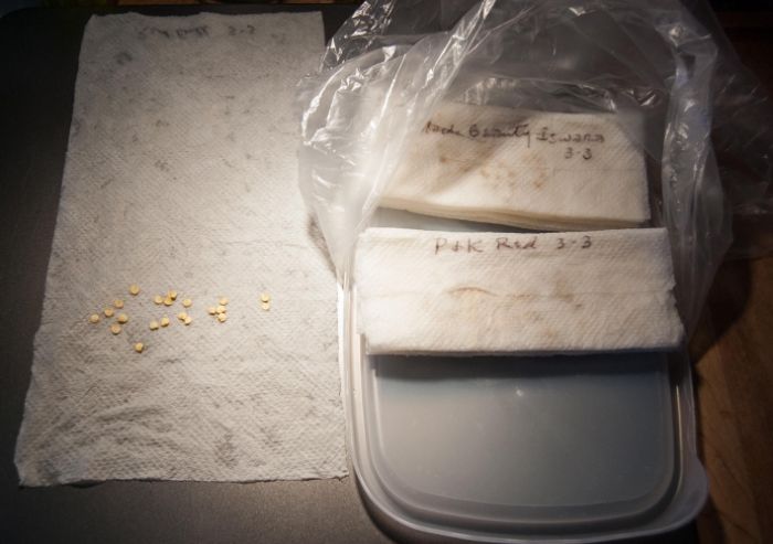  photo ad1b4af1-36d3-4ad5-b9ff-1a920861fbde_zps695b34c1.jpg